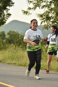 BIB: 
                            <button type="button" onclick="openModal(3637225)" class="btn btn-primary btn-sm float-right btn-popup" data-toggle="modal" data-target=".modal-high-quality">
                        <i class="fas fa-shopping-cart"></i> Add to Cart
                    </button>
                                            <button type="button" onclick="isThisMe(3637225, true)" class="btn btn-success btn-sm float-right btn-popup btn-isme hidden" data-toggle="tooltip" data-placement="bottom" title="นี่คือรูปของคุณใช่ไหม คลิกที่นี่เพื่อเอาเข้าอัลบั้ม">
                        <i class="fas fa-plus"></i> Add to album
                    </button>
                    <button type="button" onclick="isThisMe(3637225, false)" class="btn btn-warning btn-sm float-right btn-popup btn-isnotme hidden">
                        <i class="fas fa-ban"></i> Remove from album
                    </button>