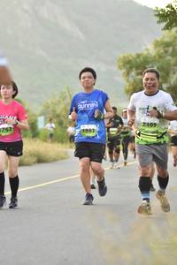 BIB: 2109, 762, 1983
                            <button type="button" onclick="openModal(3603573)" class="btn btn-primary btn-sm float-right btn-popup" data-toggle="modal" data-target=".modal-high-quality">
                        <i class="fas fa-shopping-cart"></i> Add to Cart
                    </button>
                                            <button type="button" onclick="isThisMe(3603573, true)" class="btn btn-success btn-sm float-right btn-popup btn-isme hidden" data-toggle="tooltip" data-placement="bottom" title="นี่คือรูปของคุณใช่ไหม คลิกที่นี่เพื่อเอาเข้าอัลบั้ม">
                        <i class="fas fa-plus"></i> Add to album
                    </button>
                    <button type="button" onclick="isThisMe(3603573, false)" class="btn btn-warning btn-sm float-right btn-popup btn-isnotme hidden">
                        <i class="fas fa-ban"></i> Remove from album
                    </button>