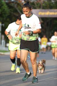 BIB: 
                            <button type="button" onclick="openModal(3614028)" class="btn btn-primary btn-sm float-right btn-popup" data-toggle="modal" data-target=".modal-high-quality">
                        <i class="fas fa-shopping-cart"></i> Add to Cart
                    </button>
                                            <button type="button" onclick="isThisMe(3614028, true)" class="btn btn-success btn-sm float-right btn-popup btn-isme hidden" data-toggle="tooltip" data-placement="bottom" title="นี่คือรูปของคุณใช่ไหม คลิกที่นี่เพื่อเอาเข้าอัลบั้ม">
                        <i class="fas fa-plus"></i> Add to album
                    </button>
                    <button type="button" onclick="isThisMe(3614028, false)" class="btn btn-warning btn-sm float-right btn-popup btn-isnotme hidden">
                        <i class="fas fa-ban"></i> Remove from album
                    </button>