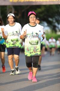 BIB: 
                            <button type="button" onclick="openModal(3619920)" class="btn btn-primary btn-sm float-right btn-popup" data-toggle="modal" data-target=".modal-high-quality">
                        <i class="fas fa-shopping-cart"></i> Add to Cart
                    </button>
                                            <button type="button" onclick="isThisMe(3619920, true)" class="btn btn-success btn-sm float-right btn-popup btn-isme hidden" data-toggle="tooltip" data-placement="bottom" title="นี่คือรูปของคุณใช่ไหม คลิกที่นี่เพื่อเอาเข้าอัลบั้ม">
                        <i class="fas fa-plus"></i> Add to album
                    </button>
                    <button type="button" onclick="isThisMe(3619920, false)" class="btn btn-warning btn-sm float-right btn-popup btn-isnotme hidden">
                        <i class="fas fa-ban"></i> Remove from album
                    </button>