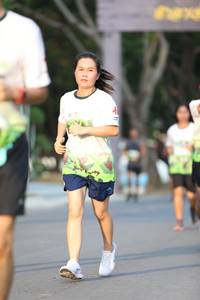 BIB: 
                            <button type="button" onclick="openModal(3600300)" class="btn btn-primary btn-sm float-right btn-popup" data-toggle="modal" data-target=".modal-high-quality">
                        <i class="fas fa-shopping-cart"></i> Add to Cart
                    </button>
                                            <button type="button" onclick="isThisMe(3600300, true)" class="btn btn-success btn-sm float-right btn-popup btn-isme hidden" data-toggle="tooltip" data-placement="bottom" title="นี่คือรูปของคุณใช่ไหม คลิกที่นี่เพื่อเอาเข้าอัลบั้ม">
                        <i class="fas fa-plus"></i> Add to album
                    </button>
                    <button type="button" onclick="isThisMe(3600300, false)" class="btn btn-warning btn-sm float-right btn-popup btn-isnotme hidden">
                        <i class="fas fa-ban"></i> Remove from album
                    </button>