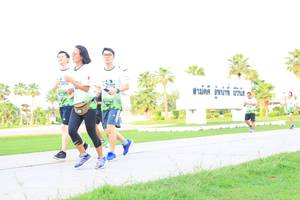 BIB: 
                            <button type="button" onclick="openModal(3684987)" class="btn btn-primary btn-sm float-right btn-popup" data-toggle="modal" data-target=".modal-high-quality">
                        <i class="fas fa-shopping-cart"></i> Add to Cart
                    </button>
                                            <button type="button" onclick="isThisMe(3684987, true)" class="btn btn-success btn-sm float-right btn-popup btn-isme hidden" data-toggle="tooltip" data-placement="bottom" title="นี่คือรูปของคุณใช่ไหม คลิกที่นี่เพื่อเอาเข้าอัลบั้ม">
                        <i class="fas fa-plus"></i> Add to album
                    </button>
                    <button type="button" onclick="isThisMe(3684987, false)" class="btn btn-warning btn-sm float-right btn-popup btn-isnotme hidden">
                        <i class="fas fa-ban"></i> Remove from album
                    </button>