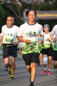 BIB: 
                            <button type="button" onclick="openModal(3602929)" class="btn btn-primary btn-sm float-right btn-popup" data-toggle="modal" data-target=".modal-high-quality">
                        <i class="fas fa-shopping-cart"></i> Add to Cart
                    </button>
                                            <button type="button" onclick="isThisMe(3602929, true)" class="btn btn-success btn-sm float-right btn-popup btn-isme hidden" data-toggle="tooltip" data-placement="bottom" title="นี่คือรูปของคุณใช่ไหม คลิกที่นี่เพื่อเอาเข้าอัลบั้ม">
                        <i class="fas fa-plus"></i> Add to album
                    </button>
                    <button type="button" onclick="isThisMe(3602929, false)" class="btn btn-warning btn-sm float-right btn-popup btn-isnotme hidden">
                        <i class="fas fa-ban"></i> Remove from album
                    </button>