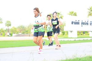 BIB: 471
                            <button type="button" onclick="openModal(3684661)" class="btn btn-primary btn-sm float-right btn-popup" data-toggle="modal" data-target=".modal-high-quality">
                        <i class="fas fa-shopping-cart"></i> Add to Cart
                    </button>
                                            <button type="button" onclick="isThisMe(3684661, true)" class="btn btn-success btn-sm float-right btn-popup btn-isme hidden" data-toggle="tooltip" data-placement="bottom" title="นี่คือรูปของคุณใช่ไหม คลิกที่นี่เพื่อเอาเข้าอัลบั้ม">
                        <i class="fas fa-plus"></i> Add to album
                    </button>
                    <button type="button" onclick="isThisMe(3684661, false)" class="btn btn-warning btn-sm float-right btn-popup btn-isnotme hidden">
                        <i class="fas fa-ban"></i> Remove from album
                    </button>