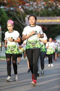 BIB: 
                            <button type="button" onclick="openModal(3611236)" class="btn btn-primary btn-sm float-right btn-popup" data-toggle="modal" data-target=".modal-high-quality">
                        <i class="fas fa-shopping-cart"></i> Add to Cart
                    </button>
                                            <button type="button" onclick="isThisMe(3611236, true)" class="btn btn-success btn-sm float-right btn-popup btn-isme hidden" data-toggle="tooltip" data-placement="bottom" title="นี่คือรูปของคุณใช่ไหม คลิกที่นี่เพื่อเอาเข้าอัลบั้ม">
                        <i class="fas fa-plus"></i> Add to album
                    </button>
                    <button type="button" onclick="isThisMe(3611236, false)" class="btn btn-warning btn-sm float-right btn-popup btn-isnotme hidden">
                        <i class="fas fa-ban"></i> Remove from album
                    </button>