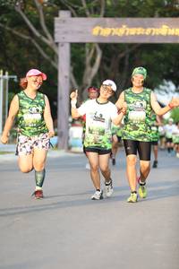 BIB: 
                            <button type="button" onclick="openModal(3601081)" class="btn btn-primary btn-sm float-right btn-popup" data-toggle="modal" data-target=".modal-high-quality">
                        <i class="fas fa-shopping-cart"></i> Add to Cart
                    </button>
                                            <button type="button" onclick="isThisMe(3601081, true)" class="btn btn-success btn-sm float-right btn-popup btn-isme hidden" data-toggle="tooltip" data-placement="bottom" title="นี่คือรูปของคุณใช่ไหม คลิกที่นี่เพื่อเอาเข้าอัลบั้ม">
                        <i class="fas fa-plus"></i> Add to album
                    </button>
                    <button type="button" onclick="isThisMe(3601081, false)" class="btn btn-warning btn-sm float-right btn-popup btn-isnotme hidden">
                        <i class="fas fa-ban"></i> Remove from album
                    </button>