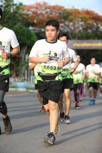 BIB: 1663, 165
                            <button type="button" onclick="openModal(3609896)" class="btn btn-primary btn-sm float-right btn-popup" data-toggle="modal" data-target=".modal-high-quality">
                        <i class="fas fa-shopping-cart"></i> Add to Cart
                    </button>
                                            <button type="button" onclick="isThisMe(3609896, true)" class="btn btn-success btn-sm float-right btn-popup btn-isme hidden" data-toggle="tooltip" data-placement="bottom" title="นี่คือรูปของคุณใช่ไหม คลิกที่นี่เพื่อเอาเข้าอัลบั้ม">
                        <i class="fas fa-plus"></i> Add to album
                    </button>
                    <button type="button" onclick="isThisMe(3609896, false)" class="btn btn-warning btn-sm float-right btn-popup btn-isnotme hidden">
                        <i class="fas fa-ban"></i> Remove from album
                    </button>