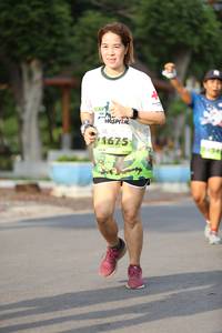 BIB: 1675
                            <button type="button" onclick="openModal(3628003)" class="btn btn-primary btn-sm float-right btn-popup" data-toggle="modal" data-target=".modal-high-quality">
                        <i class="fas fa-shopping-cart"></i> Add to Cart
                    </button>
                                            <button type="button" onclick="isThisMe(3628003, true)" class="btn btn-success btn-sm float-right btn-popup btn-isme hidden" data-toggle="tooltip" data-placement="bottom" title="นี่คือรูปของคุณใช่ไหม คลิกที่นี่เพื่อเอาเข้าอัลบั้ม">
                        <i class="fas fa-plus"></i> Add to album
                    </button>
                    <button type="button" onclick="isThisMe(3628003, false)" class="btn btn-warning btn-sm float-right btn-popup btn-isnotme hidden">
                        <i class="fas fa-ban"></i> Remove from album
                    </button>