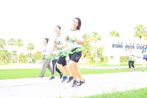 BIB: 
                            <button type="button" onclick="openModal(3693837)" class="btn btn-primary btn-sm float-right btn-popup" data-toggle="modal" data-target=".modal-high-quality">
                        <i class="fas fa-shopping-cart"></i> Add to Cart
                    </button>
                                            <button type="button" onclick="isThisMe(3693837, true)" class="btn btn-success btn-sm float-right btn-popup btn-isme hidden" data-toggle="tooltip" data-placement="bottom" title="นี่คือรูปของคุณใช่ไหม คลิกที่นี่เพื่อเอาเข้าอัลบั้ม">
                        <i class="fas fa-plus"></i> Add to album
                    </button>
                    <button type="button" onclick="isThisMe(3693837, false)" class="btn btn-warning btn-sm float-right btn-popup btn-isnotme hidden">
                        <i class="fas fa-ban"></i> Remove from album
                    </button>