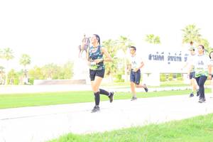 BIB: 
                            <button type="button" onclick="openModal(3695530)" class="btn btn-primary btn-sm float-right btn-popup" data-toggle="modal" data-target=".modal-high-quality">
                        <i class="fas fa-shopping-cart"></i> Add to Cart
                    </button>
                                            <button type="button" onclick="isThisMe(3695530, true)" class="btn btn-success btn-sm float-right btn-popup btn-isme hidden" data-toggle="tooltip" data-placement="bottom" title="นี่คือรูปของคุณใช่ไหม คลิกที่นี่เพื่อเอาเข้าอัลบั้ม">
                        <i class="fas fa-plus"></i> Add to album
                    </button>
                    <button type="button" onclick="isThisMe(3695530, false)" class="btn btn-warning btn-sm float-right btn-popup btn-isnotme hidden">
                        <i class="fas fa-ban"></i> Remove from album
                    </button>