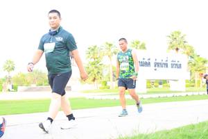 BIB: 
                            <button type="button" onclick="openModal(3692485)" class="btn btn-primary btn-sm float-right btn-popup" data-toggle="modal" data-target=".modal-high-quality">
                        <i class="fas fa-shopping-cart"></i> Add to Cart
                    </button>
                                            <button type="button" onclick="isThisMe(3692485, true)" class="btn btn-success btn-sm float-right btn-popup btn-isme hidden" data-toggle="tooltip" data-placement="bottom" title="นี่คือรูปของคุณใช่ไหม คลิกที่นี่เพื่อเอาเข้าอัลบั้ม">
                        <i class="fas fa-plus"></i> Add to album
                    </button>
                    <button type="button" onclick="isThisMe(3692485, false)" class="btn btn-warning btn-sm float-right btn-popup btn-isnotme hidden">
                        <i class="fas fa-ban"></i> Remove from album
                    </button>