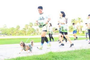 BIB: 
                            <button type="button" onclick="openModal(3690588)" class="btn btn-primary btn-sm float-right btn-popup" data-toggle="modal" data-target=".modal-high-quality">
                        <i class="fas fa-shopping-cart"></i> Add to Cart
                    </button>
                                            <button type="button" onclick="isThisMe(3690588, true)" class="btn btn-success btn-sm float-right btn-popup btn-isme hidden" data-toggle="tooltip" data-placement="bottom" title="นี่คือรูปของคุณใช่ไหม คลิกที่นี่เพื่อเอาเข้าอัลบั้ม">
                        <i class="fas fa-plus"></i> Add to album
                    </button>
                    <button type="button" onclick="isThisMe(3690588, false)" class="btn btn-warning btn-sm float-right btn-popup btn-isnotme hidden">
                        <i class="fas fa-ban"></i> Remove from album
                    </button>