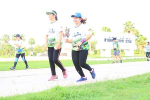 BIB: 
                            <button type="button" onclick="openModal(3692302)" class="btn btn-primary btn-sm float-right btn-popup" data-toggle="modal" data-target=".modal-high-quality">
                        <i class="fas fa-shopping-cart"></i> Add to Cart
                    </button>
                                            <button type="button" onclick="isThisMe(3692302, true)" class="btn btn-success btn-sm float-right btn-popup btn-isme hidden" data-toggle="tooltip" data-placement="bottom" title="นี่คือรูปของคุณใช่ไหม คลิกที่นี่เพื่อเอาเข้าอัลบั้ม">
                        <i class="fas fa-plus"></i> Add to album
                    </button>
                    <button type="button" onclick="isThisMe(3692302, false)" class="btn btn-warning btn-sm float-right btn-popup btn-isnotme hidden">
                        <i class="fas fa-ban"></i> Remove from album
                    </button>