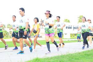 BIB: 
                            <button type="button" onclick="openModal(3685296)" class="btn btn-primary btn-sm float-right btn-popup" data-toggle="modal" data-target=".modal-high-quality">
                        <i class="fas fa-shopping-cart"></i> Add to Cart
                    </button>
                                            <button type="button" onclick="isThisMe(3685296, true)" class="btn btn-success btn-sm float-right btn-popup btn-isme hidden" data-toggle="tooltip" data-placement="bottom" title="นี่คือรูปของคุณใช่ไหม คลิกที่นี่เพื่อเอาเข้าอัลบั้ม">
                        <i class="fas fa-plus"></i> Add to album
                    </button>
                    <button type="button" onclick="isThisMe(3685296, false)" class="btn btn-warning btn-sm float-right btn-popup btn-isnotme hidden">
                        <i class="fas fa-ban"></i> Remove from album
                    </button>