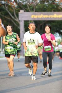 BIB: 2553
                            <button type="button" onclick="openModal(3600591)" class="btn btn-primary btn-sm float-right btn-popup" data-toggle="modal" data-target=".modal-high-quality">
                        <i class="fas fa-shopping-cart"></i> Add to Cart
                    </button>
                                            <button type="button" onclick="isThisMe(3600591, true)" class="btn btn-success btn-sm float-right btn-popup btn-isme hidden" data-toggle="tooltip" data-placement="bottom" title="นี่คือรูปของคุณใช่ไหม คลิกที่นี่เพื่อเอาเข้าอัลบั้ม">
                        <i class="fas fa-plus"></i> Add to album
                    </button>
                    <button type="button" onclick="isThisMe(3600591, false)" class="btn btn-warning btn-sm float-right btn-popup btn-isnotme hidden">
                        <i class="fas fa-ban"></i> Remove from album
                    </button>