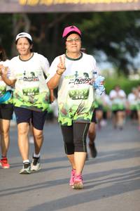 BIB: 
                            <button type="button" onclick="openModal(3619992)" class="btn btn-primary btn-sm float-right btn-popup" data-toggle="modal" data-target=".modal-high-quality">
                        <i class="fas fa-shopping-cart"></i> Add to Cart
                    </button>
                                            <button type="button" onclick="isThisMe(3619992, true)" class="btn btn-success btn-sm float-right btn-popup btn-isme hidden" data-toggle="tooltip" data-placement="bottom" title="นี่คือรูปของคุณใช่ไหม คลิกที่นี่เพื่อเอาเข้าอัลบั้ม">
                        <i class="fas fa-plus"></i> Add to album
                    </button>
                    <button type="button" onclick="isThisMe(3619992, false)" class="btn btn-warning btn-sm float-right btn-popup btn-isnotme hidden">
                        <i class="fas fa-ban"></i> Remove from album
                    </button>