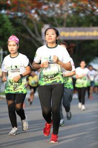 BIB: 
                            <button type="button" onclick="openModal(3611371)" class="btn btn-primary btn-sm float-right btn-popup" data-toggle="modal" data-target=".modal-high-quality">
                        <i class="fas fa-shopping-cart"></i> Add to Cart
                    </button>
                                            <button type="button" onclick="isThisMe(3611371, true)" class="btn btn-success btn-sm float-right btn-popup btn-isme hidden" data-toggle="tooltip" data-placement="bottom" title="นี่คือรูปของคุณใช่ไหม คลิกที่นี่เพื่อเอาเข้าอัลบั้ม">
                        <i class="fas fa-plus"></i> Add to album
                    </button>
                    <button type="button" onclick="isThisMe(3611371, false)" class="btn btn-warning btn-sm float-right btn-popup btn-isnotme hidden">
                        <i class="fas fa-ban"></i> Remove from album
                    </button>