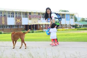 BIB: 
                            <button type="button" onclick="openModal(3701716)" class="btn btn-primary btn-sm float-right btn-popup" data-toggle="modal" data-target=".modal-high-quality">
                        <i class="fas fa-shopping-cart"></i> Add to Cart
                    </button>
                                            <button type="button" onclick="isThisMe(3701716, true)" class="btn btn-success btn-sm float-right btn-popup btn-isme hidden" data-toggle="tooltip" data-placement="bottom" title="นี่คือรูปของคุณใช่ไหม คลิกที่นี่เพื่อเอาเข้าอัลบั้ม">
                        <i class="fas fa-plus"></i> Add to album
                    </button>
                    <button type="button" onclick="isThisMe(3701716, false)" class="btn btn-warning btn-sm float-right btn-popup btn-isnotme hidden">
                        <i class="fas fa-ban"></i> Remove from album
                    </button>