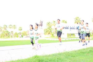 BIB: 
                            <button type="button" onclick="openModal(3692801)" class="btn btn-primary btn-sm float-right btn-popup" data-toggle="modal" data-target=".modal-high-quality">
                        <i class="fas fa-shopping-cart"></i> Add to Cart
                    </button>
                                            <button type="button" onclick="isThisMe(3692801, true)" class="btn btn-success btn-sm float-right btn-popup btn-isme hidden" data-toggle="tooltip" data-placement="bottom" title="นี่คือรูปของคุณใช่ไหม คลิกที่นี่เพื่อเอาเข้าอัลบั้ม">
                        <i class="fas fa-plus"></i> Add to album
                    </button>
                    <button type="button" onclick="isThisMe(3692801, false)" class="btn btn-warning btn-sm float-right btn-popup btn-isnotme hidden">
                        <i class="fas fa-ban"></i> Remove from album
                    </button>