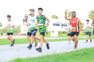 BIB: 
                            <button type="button" onclick="openModal(3677973)" class="btn btn-primary btn-sm float-right btn-popup" data-toggle="modal" data-target=".modal-high-quality">
                        <i class="fas fa-shopping-cart"></i> Add to Cart
                    </button>
                                            <button type="button" onclick="isThisMe(3677973, true)" class="btn btn-success btn-sm float-right btn-popup btn-isme hidden" data-toggle="tooltip" data-placement="bottom" title="นี่คือรูปของคุณใช่ไหม คลิกที่นี่เพื่อเอาเข้าอัลบั้ม">
                        <i class="fas fa-plus"></i> Add to album
                    </button>
                    <button type="button" onclick="isThisMe(3677973, false)" class="btn btn-warning btn-sm float-right btn-popup btn-isnotme hidden">
                        <i class="fas fa-ban"></i> Remove from album
                    </button>