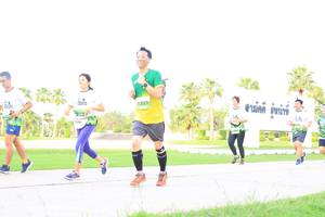 BIB: 1331
                            <button type="button" onclick="openModal(3689737)" class="btn btn-primary btn-sm float-right btn-popup" data-toggle="modal" data-target=".modal-high-quality">
                        <i class="fas fa-shopping-cart"></i> Add to Cart
                    </button>
                                            <button type="button" onclick="isThisMe(3689737, true)" class="btn btn-success btn-sm float-right btn-popup btn-isme hidden" data-toggle="tooltip" data-placement="bottom" title="นี่คือรูปของคุณใช่ไหม คลิกที่นี่เพื่อเอาเข้าอัลบั้ม">
                        <i class="fas fa-plus"></i> Add to album
                    </button>
                    <button type="button" onclick="isThisMe(3689737, false)" class="btn btn-warning btn-sm float-right btn-popup btn-isnotme hidden">
                        <i class="fas fa-ban"></i> Remove from album
                    </button>