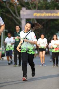 BIB: 
                            <button type="button" onclick="openModal(3612496)" class="btn btn-primary btn-sm float-right btn-popup" data-toggle="modal" data-target=".modal-high-quality">
                        <i class="fas fa-shopping-cart"></i> Add to Cart
                    </button>
                                            <button type="button" onclick="isThisMe(3612496, true)" class="btn btn-success btn-sm float-right btn-popup btn-isme hidden" data-toggle="tooltip" data-placement="bottom" title="นี่คือรูปของคุณใช่ไหม คลิกที่นี่เพื่อเอาเข้าอัลบั้ม">
                        <i class="fas fa-plus"></i> Add to album
                    </button>
                    <button type="button" onclick="isThisMe(3612496, false)" class="btn btn-warning btn-sm float-right btn-popup btn-isnotme hidden">
                        <i class="fas fa-ban"></i> Remove from album
                    </button>