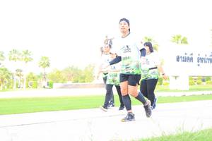 BIB: 894
                            <button type="button" onclick="openModal(3693755)" class="btn btn-primary btn-sm float-right btn-popup" data-toggle="modal" data-target=".modal-high-quality">
                        <i class="fas fa-shopping-cart"></i> Add to Cart
                    </button>
                                            <button type="button" onclick="isThisMe(3693755, true)" class="btn btn-success btn-sm float-right btn-popup btn-isme hidden" data-toggle="tooltip" data-placement="bottom" title="นี่คือรูปของคุณใช่ไหม คลิกที่นี่เพื่อเอาเข้าอัลบั้ม">
                        <i class="fas fa-plus"></i> Add to album
                    </button>
                    <button type="button" onclick="isThisMe(3693755, false)" class="btn btn-warning btn-sm float-right btn-popup btn-isnotme hidden">
                        <i class="fas fa-ban"></i> Remove from album
                    </button>