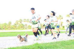 BIB: 
                            <button type="button" onclick="openModal(3690622)" class="btn btn-primary btn-sm float-right btn-popup" data-toggle="modal" data-target=".modal-high-quality">
                        <i class="fas fa-shopping-cart"></i> Add to Cart
                    </button>
                                            <button type="button" onclick="isThisMe(3690622, true)" class="btn btn-success btn-sm float-right btn-popup btn-isme hidden" data-toggle="tooltip" data-placement="bottom" title="นี่คือรูปของคุณใช่ไหม คลิกที่นี่เพื่อเอาเข้าอัลบั้ม">
                        <i class="fas fa-plus"></i> Add to album
                    </button>
                    <button type="button" onclick="isThisMe(3690622, false)" class="btn btn-warning btn-sm float-right btn-popup btn-isnotme hidden">
                        <i class="fas fa-ban"></i> Remove from album
                    </button>