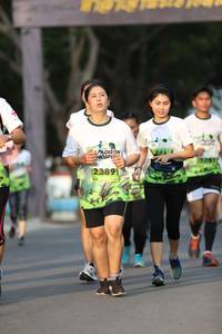 BIB: 2389
                            <button type="button" onclick="openModal(3607467)" class="btn btn-primary btn-sm float-right btn-popup" data-toggle="modal" data-target=".modal-high-quality">
                        <i class="fas fa-shopping-cart"></i> Add to Cart
                    </button>
                                            <button type="button" onclick="isThisMe(3607467, true)" class="btn btn-success btn-sm float-right btn-popup btn-isme hidden" data-toggle="tooltip" data-placement="bottom" title="นี่คือรูปของคุณใช่ไหม คลิกที่นี่เพื่อเอาเข้าอัลบั้ม">
                        <i class="fas fa-plus"></i> Add to album
                    </button>
                    <button type="button" onclick="isThisMe(3607467, false)" class="btn btn-warning btn-sm float-right btn-popup btn-isnotme hidden">
                        <i class="fas fa-ban"></i> Remove from album
                    </button>