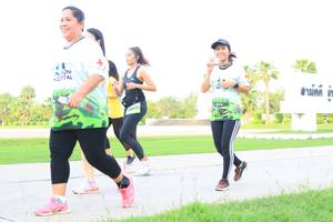 BIB: 
                            <button type="button" onclick="openModal(3686625)" class="btn btn-primary btn-sm float-right btn-popup" data-toggle="modal" data-target=".modal-high-quality">
                        <i class="fas fa-shopping-cart"></i> Add to Cart
                    </button>
                                            <button type="button" onclick="isThisMe(3686625, true)" class="btn btn-success btn-sm float-right btn-popup btn-isme hidden" data-toggle="tooltip" data-placement="bottom" title="นี่คือรูปของคุณใช่ไหม คลิกที่นี่เพื่อเอาเข้าอัลบั้ม">
                        <i class="fas fa-plus"></i> Add to album
                    </button>
                    <button type="button" onclick="isThisMe(3686625, false)" class="btn btn-warning btn-sm float-right btn-popup btn-isnotme hidden">
                        <i class="fas fa-ban"></i> Remove from album
                    </button>