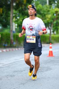 BIB: 3016
                            <button type="button" onclick="openModal(13112378)" class="btn btn-primary btn-sm float-right btn-popup" data-toggle="modal" data-target=".modal-high-quality">
                        <i class="fas fa-shopping-cart"></i> Add to Cart
                    </button>
                                            <button type="button" onclick="isThisMe(13112378, true)" class="btn btn-success btn-sm float-right btn-popup btn-isme hidden" data-toggle="tooltip" data-placement="bottom" title="นี่คือรูปของคุณใช่ไหม คลิกที่นี่เพื่อเอาเข้าอัลบั้ม">
                        <i class="fas fa-plus"></i> Add to album
                    </button>
                    <button type="button" onclick="isThisMe(13112378, false)" class="btn btn-warning btn-sm float-right btn-popup btn-isnotme hidden">
                        <i class="fas fa-ban"></i> Remove from album
                    </button>