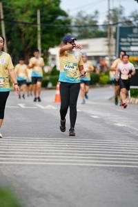 BIB: 5249
                            <button type="button" onclick="openModal(13119142)" class="btn btn-primary btn-sm float-right btn-popup" data-toggle="modal" data-target=".modal-high-quality">
                        <i class="fas fa-shopping-cart"></i> Add to Cart
                    </button>
                                            <button type="button" onclick="isThisMe(13119142, true)" class="btn btn-success btn-sm float-right btn-popup btn-isme hidden" data-toggle="tooltip" data-placement="bottom" title="นี่คือรูปของคุณใช่ไหม คลิกที่นี่เพื่อเอาเข้าอัลบั้ม">
                        <i class="fas fa-plus"></i> Add to album
                    </button>
                    <button type="button" onclick="isThisMe(13119142, false)" class="btn btn-warning btn-sm float-right btn-popup btn-isnotme hidden">
                        <i class="fas fa-ban"></i> Remove from album
                    </button>