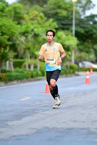 BIB: 2260
                            <button type="button" onclick="openModal(13113780)" class="btn btn-primary btn-sm float-right btn-popup" data-toggle="modal" data-target=".modal-high-quality">
                        <i class="fas fa-shopping-cart"></i> Add to Cart
                    </button>
                                            <button type="button" onclick="isThisMe(13113780, true)" class="btn btn-success btn-sm float-right btn-popup btn-isme hidden" data-toggle="tooltip" data-placement="bottom" title="นี่คือรูปของคุณใช่ไหม คลิกที่นี่เพื่อเอาเข้าอัลบั้ม">
                        <i class="fas fa-plus"></i> Add to album
                    </button>
                    <button type="button" onclick="isThisMe(13113780, false)" class="btn btn-warning btn-sm float-right btn-popup btn-isnotme hidden">
                        <i class="fas fa-ban"></i> Remove from album
                    </button>