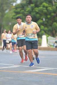 BIB: 380, 5216
                            <button type="button" onclick="openModal(13156326)" class="btn btn-primary btn-sm float-right btn-popup" data-toggle="modal" data-target=".modal-high-quality">
                        <i class="fas fa-shopping-cart"></i> Add to Cart
                    </button>
                                            <button type="button" onclick="isThisMe(13156326, true)" class="btn btn-success btn-sm float-right btn-popup btn-isme hidden" data-toggle="tooltip" data-placement="bottom" title="นี่คือรูปของคุณใช่ไหม คลิกที่นี่เพื่อเอาเข้าอัลบั้ม">
                        <i class="fas fa-plus"></i> Add to album
                    </button>
                    <button type="button" onclick="isThisMe(13156326, false)" class="btn btn-warning btn-sm float-right btn-popup btn-isnotme hidden">
                        <i class="fas fa-ban"></i> Remove from album
                    </button>