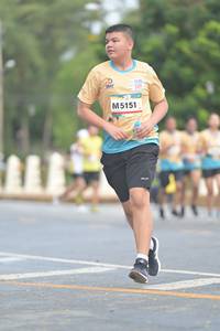 BIB: 5151, 
                            <button type="button" onclick="openModal(13156387)" class="btn btn-primary btn-sm float-right btn-popup" data-toggle="modal" data-target=".modal-high-quality">
                        <i class="fas fa-shopping-cart"></i> Add to Cart
                    </button>
                                            <button type="button" onclick="isThisMe(13156387, true)" class="btn btn-success btn-sm float-right btn-popup btn-isme hidden" data-toggle="tooltip" data-placement="bottom" title="นี่คือรูปของคุณใช่ไหม คลิกที่นี่เพื่อเอาเข้าอัลบั้ม">
                        <i class="fas fa-plus"></i> Add to album
                    </button>
                    <button type="button" onclick="isThisMe(13156387, false)" class="btn btn-warning btn-sm float-right btn-popup btn-isnotme hidden">
                        <i class="fas fa-ban"></i> Remove from album
                    </button>