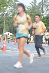 BIB: 
                            <button type="button" onclick="openModal(13132071)" class="btn btn-primary btn-sm float-right btn-popup" data-toggle="modal" data-target=".modal-high-quality">
                        <i class="fas fa-shopping-cart"></i> Add to Cart
                    </button>
                                            <button type="button" onclick="isThisMe(13132071, true)" class="btn btn-success btn-sm float-right btn-popup btn-isme hidden" data-toggle="tooltip" data-placement="bottom" title="นี่คือรูปของคุณใช่ไหม คลิกที่นี่เพื่อเอาเข้าอัลบั้ม">
                        <i class="fas fa-plus"></i> Add to album
                    </button>
                    <button type="button" onclick="isThisMe(13132071, false)" class="btn btn-warning btn-sm float-right btn-popup btn-isnotme hidden">
                        <i class="fas fa-ban"></i> Remove from album
                    </button>