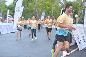 BIB: 
                            <button type="button" onclick="openModal(13129737)" class="btn btn-primary btn-sm float-right btn-popup" data-toggle="modal" data-target=".modal-high-quality">
                        <i class="fas fa-shopping-cart"></i> Add to Cart
                    </button>
                                            <button type="button" onclick="isThisMe(13129737, true)" class="btn btn-success btn-sm float-right btn-popup btn-isme hidden" data-toggle="tooltip" data-placement="bottom" title="นี่คือรูปของคุณใช่ไหม คลิกที่นี่เพื่อเอาเข้าอัลบั้ม">
                        <i class="fas fa-plus"></i> Add to album
                    </button>
                    <button type="button" onclick="isThisMe(13129737, false)" class="btn btn-warning btn-sm float-right btn-popup btn-isnotme hidden">
                        <i class="fas fa-ban"></i> Remove from album
                    </button>