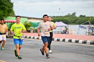 BIB: 3050
                            <button type="button" onclick="openModal(13100195)" class="btn btn-primary btn-sm float-right btn-popup" data-toggle="modal" data-target=".modal-high-quality">
                        <i class="fas fa-shopping-cart"></i> Add to Cart
                    </button>
                                            <button type="button" onclick="isThisMe(13100195, true)" class="btn btn-success btn-sm float-right btn-popup btn-isme hidden" data-toggle="tooltip" data-placement="bottom" title="นี่คือรูปของคุณใช่ไหม คลิกที่นี่เพื่อเอาเข้าอัลบั้ม">
                        <i class="fas fa-plus"></i> Add to album
                    </button>
                    <button type="button" onclick="isThisMe(13100195, false)" class="btn btn-warning btn-sm float-right btn-popup btn-isnotme hidden">
                        <i class="fas fa-ban"></i> Remove from album
                    </button>