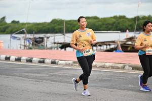 BIB: 3152, 2004
                            <button type="button" onclick="openModal(13061144)" class="btn btn-primary btn-sm float-right btn-popup" data-toggle="modal" data-target=".modal-high-quality">
                        <i class="fas fa-shopping-cart"></i> Add to Cart
                    </button>
                                            <button type="button" onclick="isThisMe(13061144, true)" class="btn btn-success btn-sm float-right btn-popup btn-isme hidden" data-toggle="tooltip" data-placement="bottom" title="นี่คือรูปของคุณใช่ไหม คลิกที่นี่เพื่อเอาเข้าอัลบั้ม">
                        <i class="fas fa-plus"></i> Add to album
                    </button>
                    <button type="button" onclick="isThisMe(13061144, false)" class="btn btn-warning btn-sm float-right btn-popup btn-isnotme hidden">
                        <i class="fas fa-ban"></i> Remove from album
                    </button>