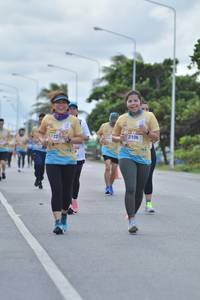 BIB: 2106
                            <button type="button" onclick="openModal(13093265)" class="btn btn-primary btn-sm float-right btn-popup" data-toggle="modal" data-target=".modal-high-quality">
                        <i class="fas fa-shopping-cart"></i> Add to Cart
                    </button>
                                            <button type="button" onclick="isThisMe(13093265, true)" class="btn btn-success btn-sm float-right btn-popup btn-isme hidden" data-toggle="tooltip" data-placement="bottom" title="นี่คือรูปของคุณใช่ไหม คลิกที่นี่เพื่อเอาเข้าอัลบั้ม">
                        <i class="fas fa-plus"></i> Add to album
                    </button>
                    <button type="button" onclick="isThisMe(13093265, false)" class="btn btn-warning btn-sm float-right btn-popup btn-isnotme hidden">
                        <i class="fas fa-ban"></i> Remove from album
                    </button>