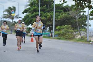 BIB: 13148, 3061
                            <button type="button" onclick="openModal(13093187)" class="btn btn-primary btn-sm float-right btn-popup" data-toggle="modal" data-target=".modal-high-quality">
                        <i class="fas fa-shopping-cart"></i> Add to Cart
                    </button>
                                            <button type="button" onclick="isThisMe(13093187, true)" class="btn btn-success btn-sm float-right btn-popup btn-isme hidden" data-toggle="tooltip" data-placement="bottom" title="นี่คือรูปของคุณใช่ไหม คลิกที่นี่เพื่อเอาเข้าอัลบั้ม">
                        <i class="fas fa-plus"></i> Add to album
                    </button>
                    <button type="button" onclick="isThisMe(13093187, false)" class="btn btn-warning btn-sm float-right btn-popup btn-isnotme hidden">
                        <i class="fas fa-ban"></i> Remove from album
                    </button>