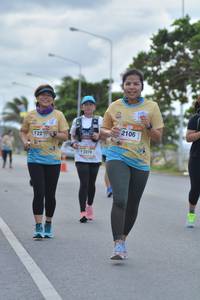 BIB: 2106, 2278
                            <button type="button" onclick="openModal(13093279)" class="btn btn-primary btn-sm float-right btn-popup" data-toggle="modal" data-target=".modal-high-quality">
                        <i class="fas fa-shopping-cart"></i> Add to Cart
                    </button>
                                            <button type="button" onclick="isThisMe(13093279, true)" class="btn btn-success btn-sm float-right btn-popup btn-isme hidden" data-toggle="tooltip" data-placement="bottom" title="นี่คือรูปของคุณใช่ไหม คลิกที่นี่เพื่อเอาเข้าอัลบั้ม">
                        <i class="fas fa-plus"></i> Add to album
                    </button>
                    <button type="button" onclick="isThisMe(13093279, false)" class="btn btn-warning btn-sm float-right btn-popup btn-isnotme hidden">
                        <i class="fas fa-ban"></i> Remove from album
                    </button>