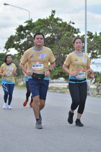 BIB: 3010, 3011
                            <button type="button" onclick="openModal(13093324)" class="btn btn-primary btn-sm float-right btn-popup" data-toggle="modal" data-target=".modal-high-quality">
                        <i class="fas fa-shopping-cart"></i> Add to Cart
                    </button>
                                            <button type="button" onclick="isThisMe(13093324, true)" class="btn btn-success btn-sm float-right btn-popup btn-isme hidden" data-toggle="tooltip" data-placement="bottom" title="นี่คือรูปของคุณใช่ไหม คลิกที่นี่เพื่อเอาเข้าอัลบั้ม">
                        <i class="fas fa-plus"></i> Add to album
                    </button>
                    <button type="button" onclick="isThisMe(13093324, false)" class="btn btn-warning btn-sm float-right btn-popup btn-isnotme hidden">
                        <i class="fas fa-ban"></i> Remove from album
                    </button>