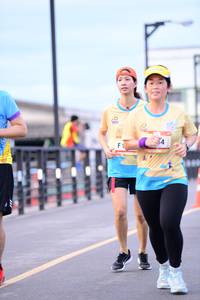 BIB: 
                            <button type="button" onclick="openModal(13068677)" class="btn btn-primary btn-sm float-right btn-popup" data-toggle="modal" data-target=".modal-high-quality">
                        <i class="fas fa-shopping-cart"></i> Add to Cart
                    </button>
                                            <button type="button" onclick="isThisMe(13068677, true)" class="btn btn-success btn-sm float-right btn-popup btn-isme hidden" data-toggle="tooltip" data-placement="bottom" title="นี่คือรูปของคุณใช่ไหม คลิกที่นี่เพื่อเอาเข้าอัลบั้ม">
                        <i class="fas fa-plus"></i> Add to album
                    </button>
                    <button type="button" onclick="isThisMe(13068677, false)" class="btn btn-warning btn-sm float-right btn-popup btn-isnotme hidden">
                        <i class="fas fa-ban"></i> Remove from album
                    </button>