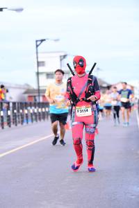 BIB: 3114
                            <button type="button" onclick="openModal(13068786)" class="btn btn-primary btn-sm float-right btn-popup" data-toggle="modal" data-target=".modal-high-quality">
                        <i class="fas fa-shopping-cart"></i> Add to Cart
                    </button>
                                            <button type="button" onclick="isThisMe(13068786, true)" class="btn btn-success btn-sm float-right btn-popup btn-isme hidden" data-toggle="tooltip" data-placement="bottom" title="นี่คือรูปของคุณใช่ไหม คลิกที่นี่เพื่อเอาเข้าอัลบั้ม">
                        <i class="fas fa-plus"></i> Add to album
                    </button>
                    <button type="button" onclick="isThisMe(13068786, false)" class="btn btn-warning btn-sm float-right btn-popup btn-isnotme hidden">
                        <i class="fas fa-ban"></i> Remove from album
                    </button>