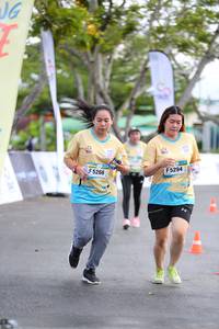 BIB: 5266, 5294
                            <button type="button" onclick="openModal(13110135)" class="btn btn-primary btn-sm float-right btn-popup" data-toggle="modal" data-target=".modal-high-quality">
                        <i class="fas fa-shopping-cart"></i> Add to Cart
                    </button>
                                            <button type="button" onclick="isThisMe(13110135, true)" class="btn btn-success btn-sm float-right btn-popup btn-isme hidden" data-toggle="tooltip" data-placement="bottom" title="นี่คือรูปของคุณใช่ไหม คลิกที่นี่เพื่อเอาเข้าอัลบั้ม">
                        <i class="fas fa-plus"></i> Add to album
                    </button>
                    <button type="button" onclick="isThisMe(13110135, false)" class="btn btn-warning btn-sm float-right btn-popup btn-isnotme hidden">
                        <i class="fas fa-ban"></i> Remove from album
                    </button>