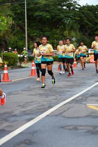 BIB: 
                            <button type="button" onclick="openModal(13094921)" class="btn btn-primary btn-sm float-right btn-popup" data-toggle="modal" data-target=".modal-high-quality">
                        <i class="fas fa-shopping-cart"></i> Add to Cart
                    </button>
                                            <button type="button" onclick="isThisMe(13094921, true)" class="btn btn-success btn-sm float-right btn-popup btn-isme hidden" data-toggle="tooltip" data-placement="bottom" title="นี่คือรูปของคุณใช่ไหม คลิกที่นี่เพื่อเอาเข้าอัลบั้ม">
                        <i class="fas fa-plus"></i> Add to album
                    </button>
                    <button type="button" onclick="isThisMe(13094921, false)" class="btn btn-warning btn-sm float-right btn-popup btn-isnotme hidden">
                        <i class="fas fa-ban"></i> Remove from album
                    </button>