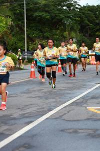 BIB: 1803, 130
                            <button type="button" onclick="openModal(13094919)" class="btn btn-primary btn-sm float-right btn-popup" data-toggle="modal" data-target=".modal-high-quality">
                        <i class="fas fa-shopping-cart"></i> Add to Cart
                    </button>
                                            <button type="button" onclick="isThisMe(13094919, true)" class="btn btn-success btn-sm float-right btn-popup btn-isme hidden" data-toggle="tooltip" data-placement="bottom" title="นี่คือรูปของคุณใช่ไหม คลิกที่นี่เพื่อเอาเข้าอัลบั้ม">
                        <i class="fas fa-plus"></i> Add to album
                    </button>
                    <button type="button" onclick="isThisMe(13094919, false)" class="btn btn-warning btn-sm float-right btn-popup btn-isnotme hidden">
                        <i class="fas fa-ban"></i> Remove from album
                    </button>