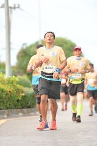 BIB: 3085
                            <button type="button" onclick="openModal(13065351)" class="btn btn-primary btn-sm float-right btn-popup" data-toggle="modal" data-target=".modal-high-quality">
                        <i class="fas fa-shopping-cart"></i> Add to Cart
                    </button>
                                            <button type="button" onclick="isThisMe(13065351, true)" class="btn btn-success btn-sm float-right btn-popup btn-isme hidden" data-toggle="tooltip" data-placement="bottom" title="นี่คือรูปของคุณใช่ไหม คลิกที่นี่เพื่อเอาเข้าอัลบั้ม">
                        <i class="fas fa-plus"></i> Add to album
                    </button>
                    <button type="button" onclick="isThisMe(13065351, false)" class="btn btn-warning btn-sm float-right btn-popup btn-isnotme hidden">
                        <i class="fas fa-ban"></i> Remove from album
                    </button>