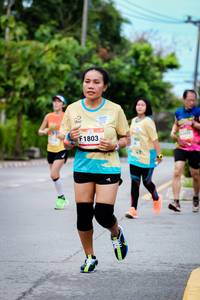 BIB: 1803
                            <button type="button" onclick="openModal(13135715)" class="btn btn-primary btn-sm float-right btn-popup" data-toggle="modal" data-target=".modal-high-quality">
                        <i class="fas fa-shopping-cart"></i> Add to Cart
                    </button>
                                            <button type="button" onclick="isThisMe(13135715, true)" class="btn btn-success btn-sm float-right btn-popup btn-isme hidden" data-toggle="tooltip" data-placement="bottom" title="นี่คือรูปของคุณใช่ไหม คลิกที่นี่เพื่อเอาเข้าอัลบั้ม">
                        <i class="fas fa-plus"></i> Add to album
                    </button>
                    <button type="button" onclick="isThisMe(13135715, false)" class="btn btn-warning btn-sm float-right btn-popup btn-isnotme hidden">
                        <i class="fas fa-ban"></i> Remove from album
                    </button>